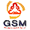 GSM